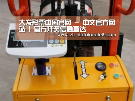 大发彩票案例展示三