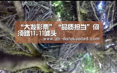 “大发彩票”“品质担当”何须蹭11.11噱头(图1) 大发彩票