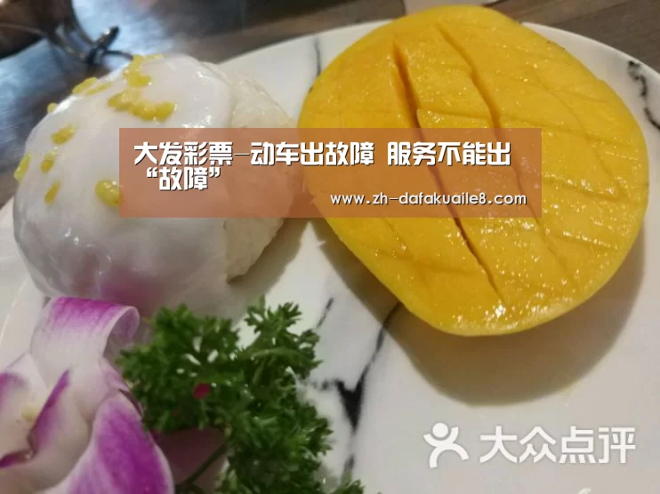 大发彩票-动车出故障 服务不能出“故障”(图4) 大发彩票