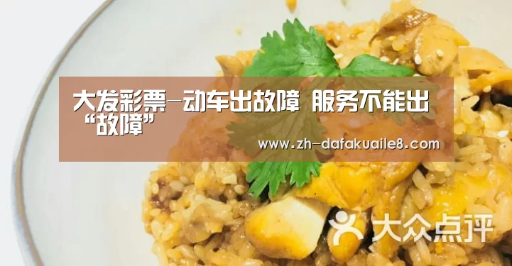大发彩票-动车出故障 服务不能出“故障”(图3) 大发彩票