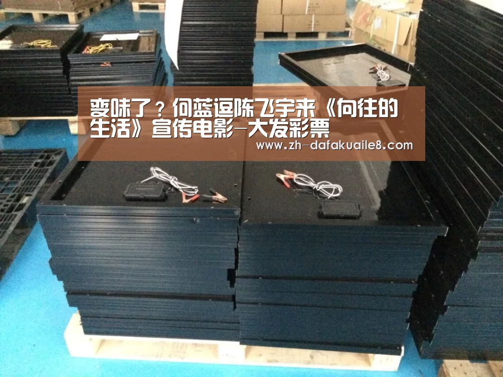 变味了?何蓝逗陈飞宇来《向往的生活》宣传电影-大发彩票(图1) 大发彩票