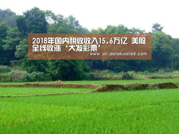 大发彩票